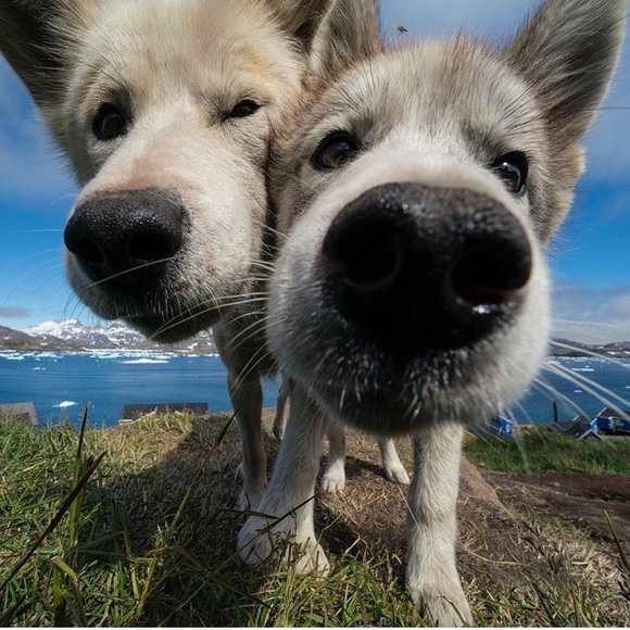 Meet your Posher, Bridget - Picture 1 of 1